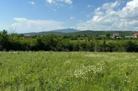 Продается Земля, Сельскохозяйственные, Закаро