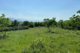 Продается Земля, Сельскохозяйственные, Закаро