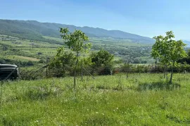 Land For Sale, Agricultural, Zakaro