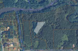 Land For Sale, Agricultural, Shekvetili