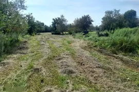 იყიდება მიწის ნაკვეთი, სასოფლო - სამეურნეო, თეკლათი