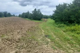 იყიდება მიწის ნაკვეთი, სასოფლო - სამეურნეო, თეკლათი