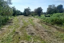 იყიდება მიწის ნაკვეთი, სასოფლო - სამეურნეო, თეკლათი