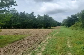 იყიდება მიწის ნაკვეთი, სასოფლო - სამეურნეო, თეკლათი