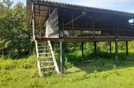 იყიდება მიწის ნაკვეთი, სასოფლო - სამეურნეო, თეკლათი