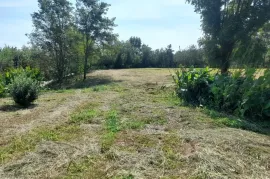 იყიდება მიწის ნაკვეთი, სასოფლო - სამეურნეო, თეკლათი