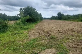 იყიდება მიწის ნაკვეთი, სასოფლო - სამეურნეო, თეკლათი