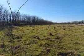 Land For Sale, Agricultural, Odilauri