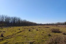 Land For Sale, Agricultural, Odilauri