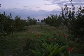 For Sale , Universal commercial space, Nasaguri