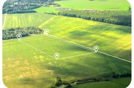 წითელი ხაზების დადგენა , დაკვალვა მიწის და მშენებლობის