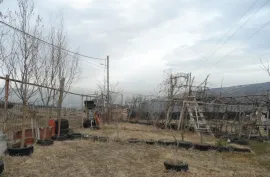 იყიდება მიწის ნაკვეთი, კომერციული, შინდისი