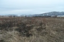 Land For Sale, Agricultural, Jorjiashvili