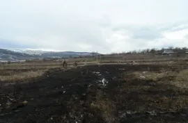 Land For Sale, Agricultural, Jorjiashvili