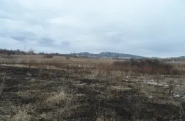 Land For Sale, Agricultural, Jorjiashvili