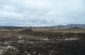 Land For Sale, Agricultural, Jorjiashvili