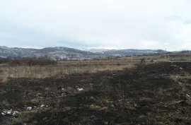 Land For Sale, Agricultural, Jorjiashvili