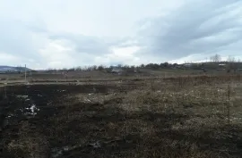 Land For Sale, Agricultural, Jorjiashvili