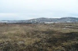 Land For Sale, Agricultural, Jorjiashvili