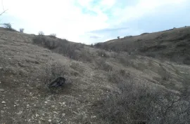 Land For Sale, Agricultural, Mukhiani