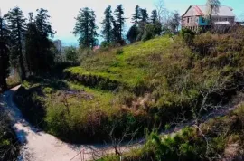 იყიდება მიწის ნაკვეთი, სასოფლო - სამეურნეო, თამარის დასახლება