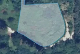 იყიდება მიწის ნაკვეთი, სასოფლო - სამეურნეო, თამარის დასახლება