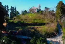 იყიდება მიწის ნაკვეთი, სასოფლო - სამეურნეო, თამარის დასახლება