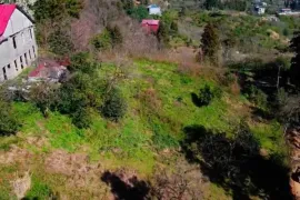 იყიდება მიწის ნაკვეთი, სასოფლო - სამეურნეო, თამარის დასახლება