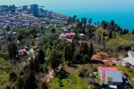 იყიდება მიწის ნაკვეთი, სასოფლო - სამეურნეო, თამარის დასახლება