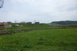 იყიდება სახლი, 8 ოთახიანი, წალკა, ბარეთი