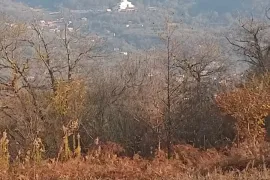 იყიდება მიწის ნაკვეთი, სასოფლო - სამეურნეო