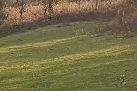 იყიდება მიწის ნაკვეთი, სასოფლო - სამეურნეო