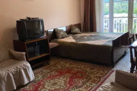 Аренда, 1 Kомнатная, Старое здание, Тбилиси, saburtalo