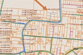 იყიდება მიწის ნაკვეთი, სასოფლო - სამეურნეო, საგურამო