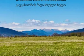 იყიდება მიწის ნაკვეთი, სასოფლო - სამეურნეო, საგურამო