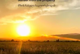 იყიდება მიწის ნაკვეთი, სასოფლო - სამეურნეო, საგურამო