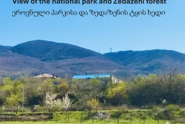 იყიდება მიწის ნაკვეთი, სასოფლო - სამეურნეო, საგურამო