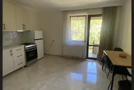 Аренда, 2 Kомнатная, Новостройка, Тбилиси, Санзона