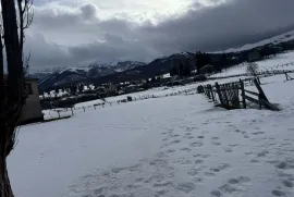 Land For Sale, Agricultural, Tsikhisjvari 