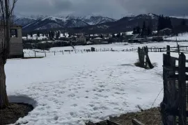 Land For Sale, Agricultural, Tsikhisjvari 