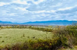 იყიდება მიწის ნაკვეთი, არა სასოფლო - სამეურნეო, მისაქციელი