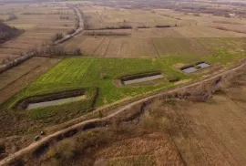 იყიდება მიწის ნაკვეთი, სასოფლო - სამეურნეო, ზეინდარი