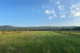 იყიდება მიწის ნაკვეთი, სასოფლო - სამეურნეო, ღულელები