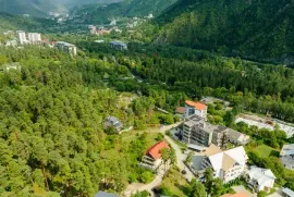 იყიდება, სასტუმრო, ბორჯომი