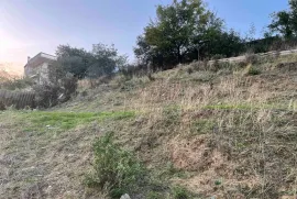 Land For Sale, Agricultural, Digomi village