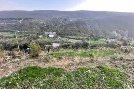 Land For Sale, Agricultural, Digomi village