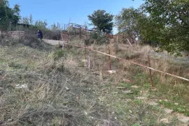 Land For Sale, Agricultural, Digomi village