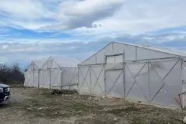 Продается Земля, Сельскохозяйственные, Велисцихе