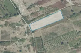 Продается Земля, Сельскохозяйственные, Велисцихе