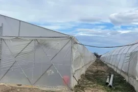 Продается Земля, Сельскохозяйственные, Велисцихе